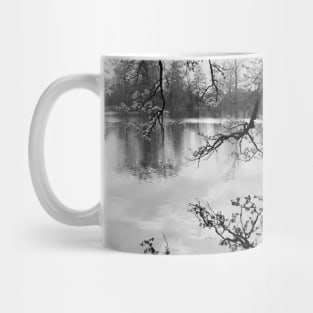 Mirror Lake / Swiss Artwork Photography Mug